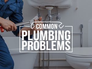 Common Plumbing Problems Princeton TX - Sewer Soldier